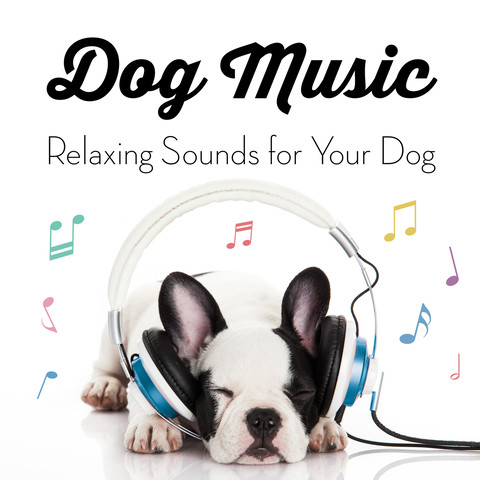 relaxing music for dogs to go to sleep