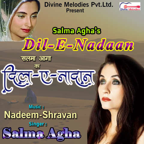 jahan aaj hum mile hain salma agha mp3 free download