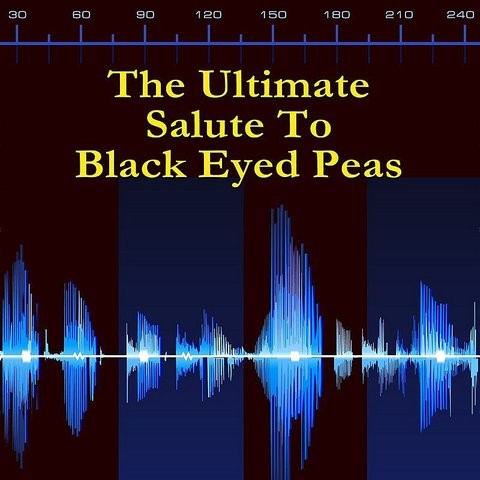 black eyed peas rock your body mp3