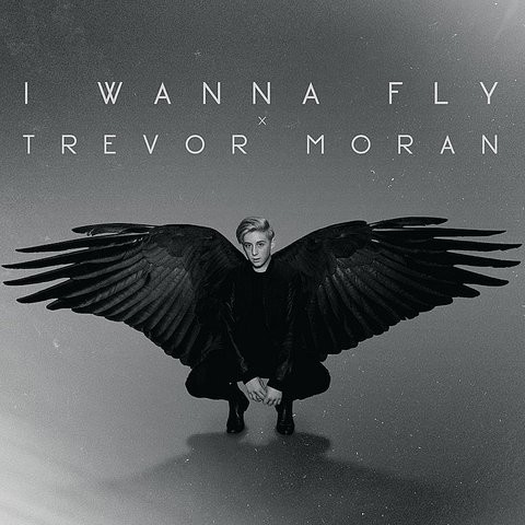 i want to fly mp3 free download i want to fly mp3 free download