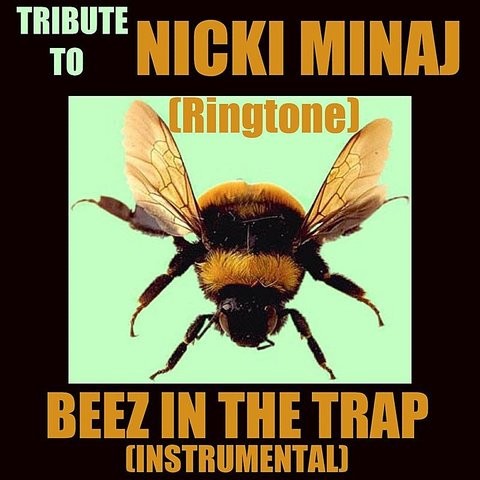 nicki minaj beez in the trap instrumental free download