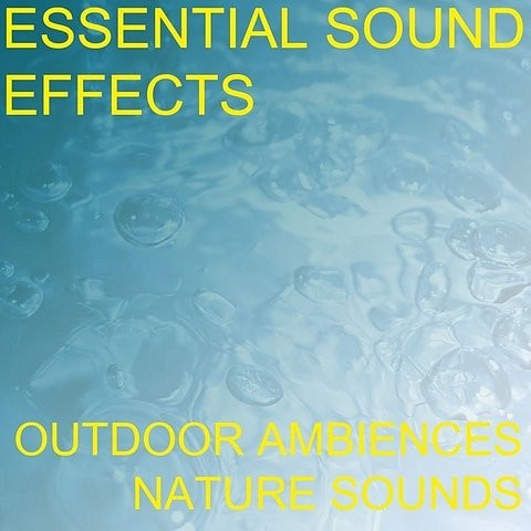 Sink Faucet Bathroom Fill Run Running Water Sound Effects Sound