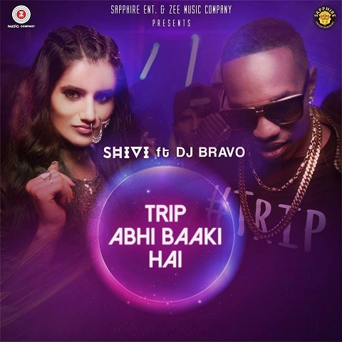 dj bravo album