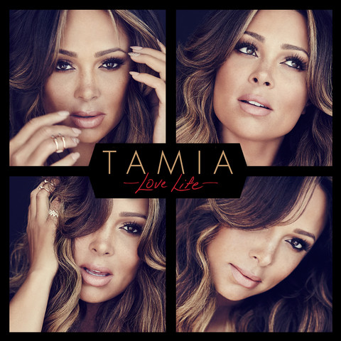 Tamia-The Way I Love You mp3