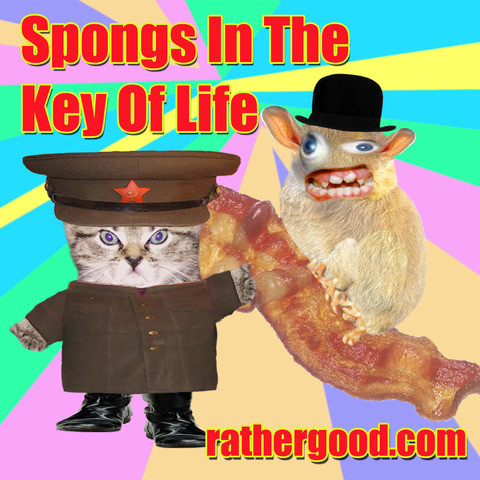songs in the key of life
