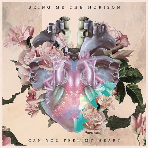 Can You Feel My Heart Mp3 Song Download Can You Feel My Heart Can