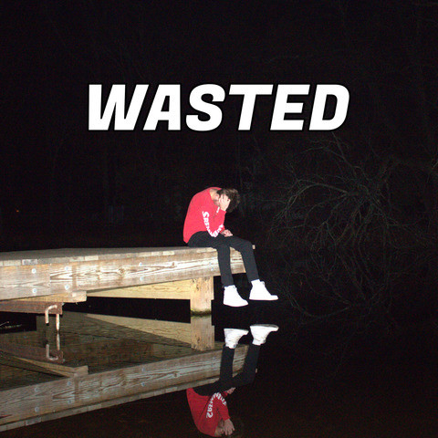 wasted song