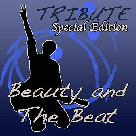Beauty And A Beat Instrumental Mp3 Song Download Beauty And A Beat Tribute To Justin Bieber Feat Nicki Minaj Special Edition Beauty And A Beat Instrumentalnull Song By The Dream