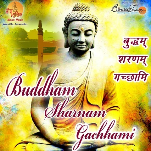 Buddham Saranam Gacchami Movie