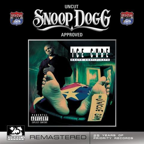 No Vaseline Mp3 Song Download Death Certificate No Vaseline Song By Ice Cube On Gaana Com