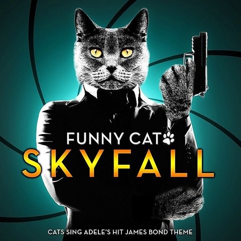 Free Download Of Skyfall Title Track Mp3
