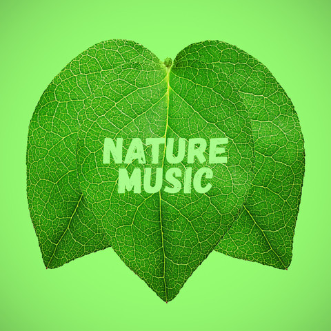nature music