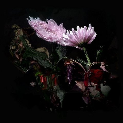 Loveless Mp3 Song Download Loveless Loveless Song By Lo Moon On Gaana Com Check out crisanta1985's art on deviantart. loveless mp3 song download loveless loveless song by lo moon on gaana com