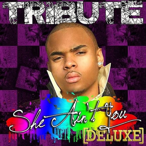 She Ain't You (Chris Brown Tribute) MP3 Song Download- She Ain't You