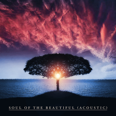 Download Song Beautiful Soul For Free