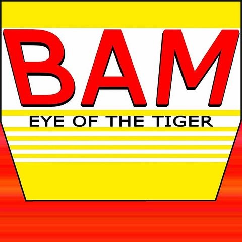 Why Are You My Clarity Mp3 Song Download Bam Eye Of The Tiger Why Are You My Clarity Song On Gaana Com gaana