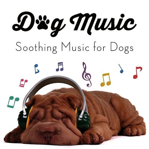 dog happy music