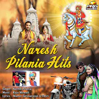 Naresh Pilania Hits