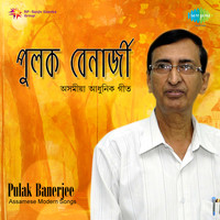 Modern Songs  By Pulak Banerjee 