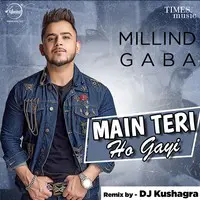 Main Teri Ho Gayi Remix