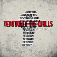 Teardown The Walls