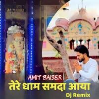 Tere Dham Samda Aaya DJ Remix