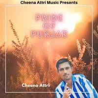 Pride of Punjab