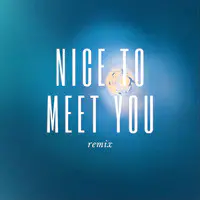 Nice to Meet You (Remix)