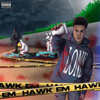 Hawk Em