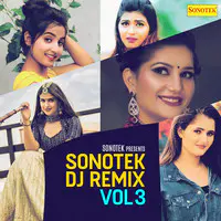 Sonotek DJ Remix Vol 3