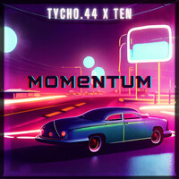 Momentum