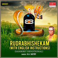 Rudrabhishekam (With English Instructions)