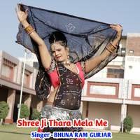 Shree Ji Thara Mela Me