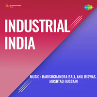 Industrial India