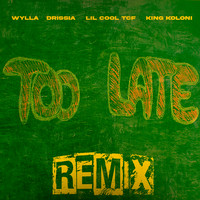 Too Late Remix