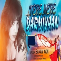 Tere Mere Darmiyaan