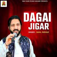 Dagai Jigar