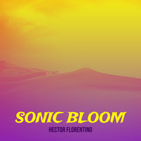 Sonic Bloom