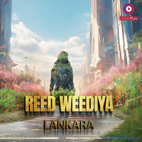 Reed Weediya