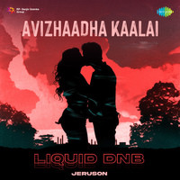 Avizhaadha Kaalai - Liquid DnB