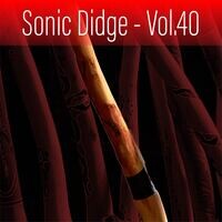 Sonic Didge, Vol. 40