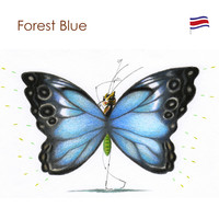 Forest Blue