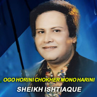 Ogo Horini Chokher Mono Harini