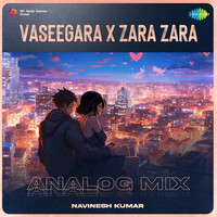 Vaseegara X Zara Zara - Analog Mix