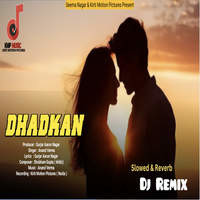 Dhadkan Dj Remix Slowed & Reverb