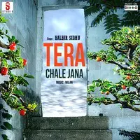 Tera Chale Jana