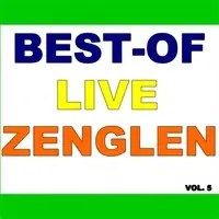 Tout Bagay Posib Mp3 Song Download By Zenglen Best Of Live Zenglen Vol 5 Listen Tout Bagay Posib French Song Free Online