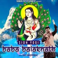 Sidhi Yogi Baba Balak Nath