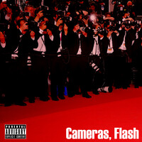 Cameras, Flash