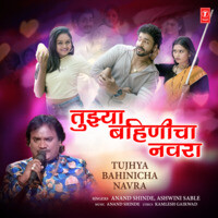 Tujhya Bahinicha Navra